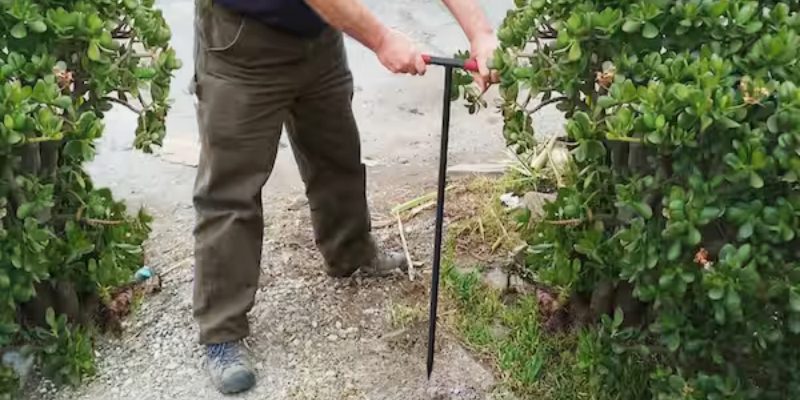Best Fiberglass Soil Probe Rods on the Market